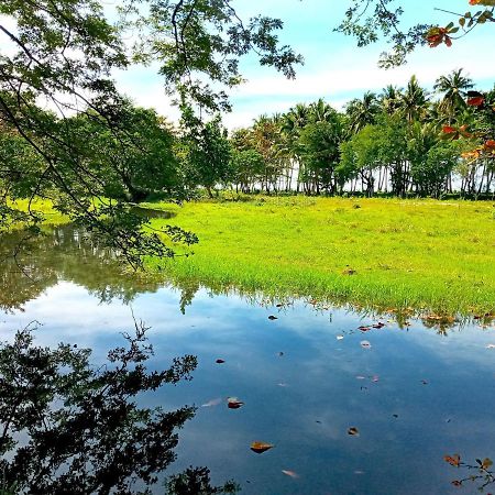 Villa Eliza Ecofarm Tibiao Eksteriør billede